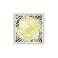 Liu Jo  Women Scarve